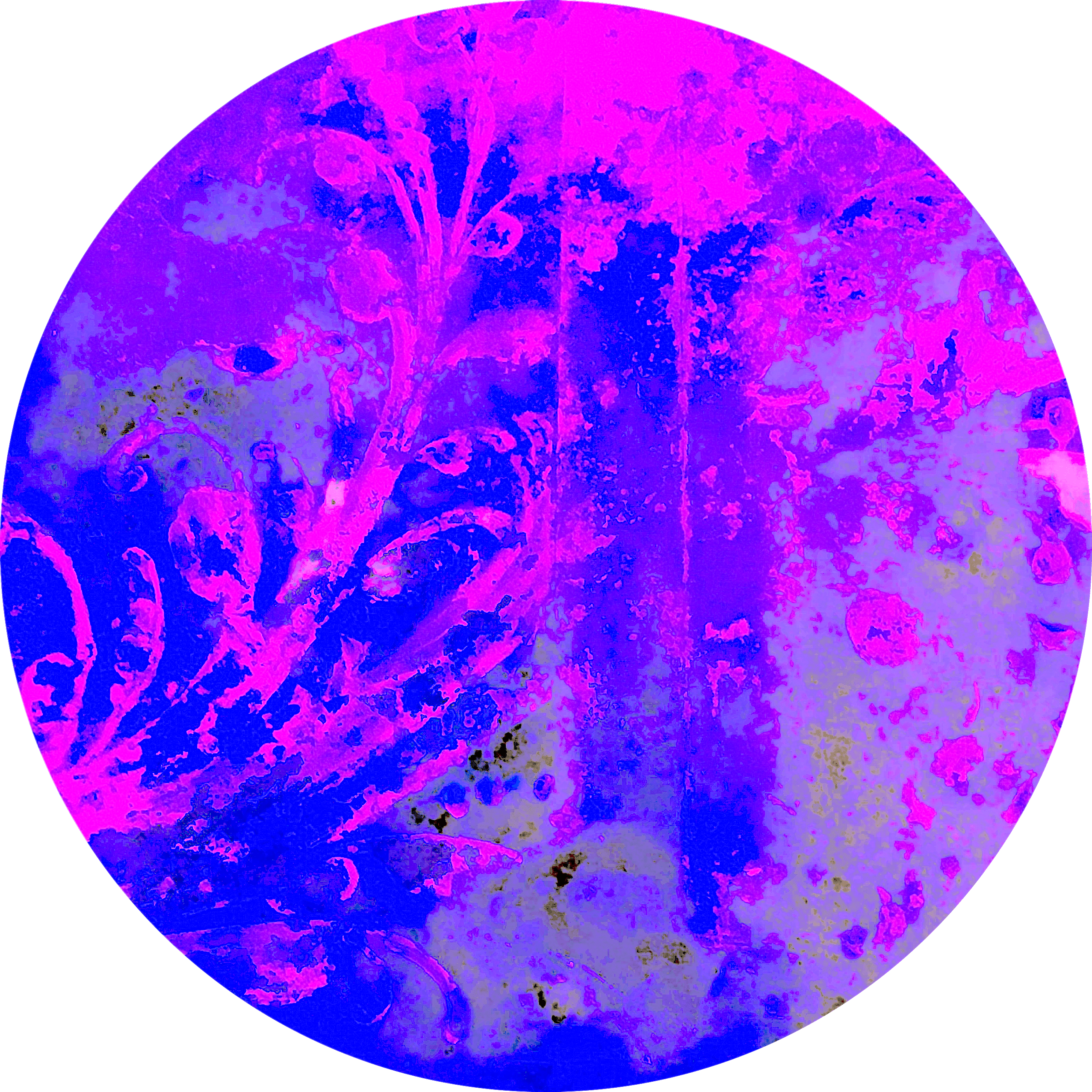 zonder titel | 2020 | 75 cm